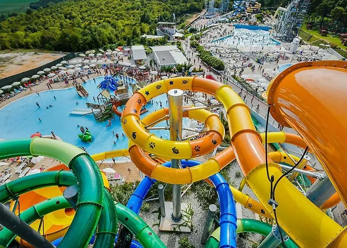 Tea * Novigrad Istria