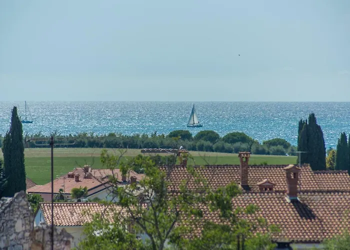 Tea * Novigrad Istria