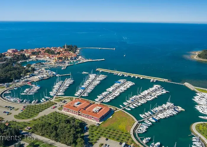 Tea Διαμέρισμα Novigrad Istria