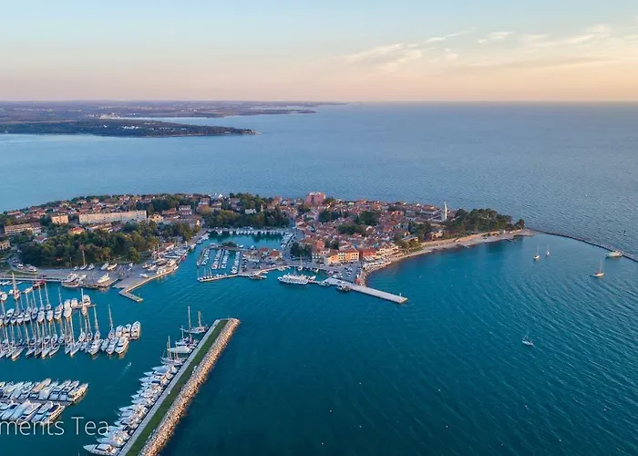 Tea Διαμέρισμα Novigrad Istria